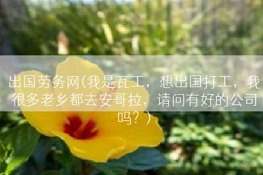 出国劳务网(我是瓦工，想出国打工，我很多老乡都去安哥拉，请问有好的公司吗？)