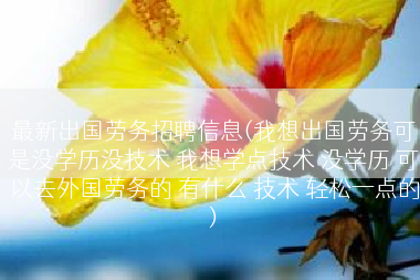 最新出国劳务招聘信息(我想出国劳务可是没学历没技术 我想学点技术 没学历 可以去外国劳务的 有什么 技术 轻松一点的)