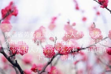 陕西省劳务派遣公司?本人想出国劳务，不知道哪里有靠谱地中介，不知道陕西兴平宏伟人力资源部怎么样，知道地帮下忙，，谢谢?
