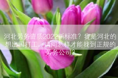 河北劳务资质2022新标准？我是河北的想出国打工，请问怎样才能找到正规的劳务公司？
