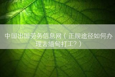 中国出国劳务信息网（正规途径如何办理去缅甸打工?）