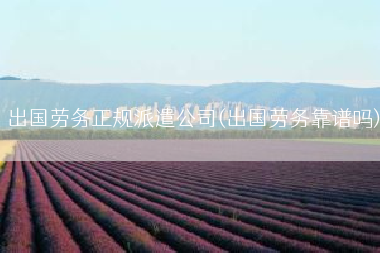 出国劳务正规派遣公司(出国劳务靠谱吗)