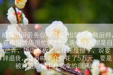 威海出国劳务公司排名?出国劳务做厨师，在德国饭店很忙就2个人洗碗什么都是自己弄，饭店老板觉得我速度慢了，说要辞退我，我当时中介费花了5万元，要是被辞退回国中介费拿的回来吗?