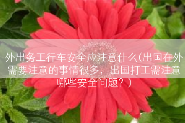 外出务工行车安全应注意什么(出国在外需要注意的事情很多，出国打工需注意哪些安全问题？)