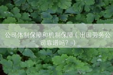 公司体制保障和机制保障（出国劳务公司靠谱吗？）