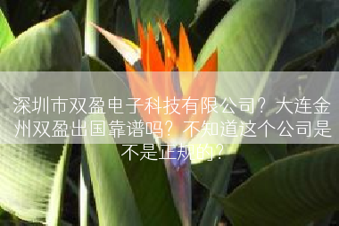 深圳市双盈电子科技有限公司？大连金州双盈出国靠谱吗？不知道这个公司是不是正规的？