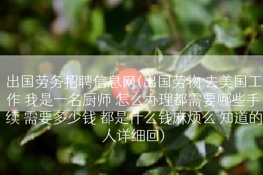出国劳务招聘信息网(出国劳物 去美国工作 我是一名厨师 怎么办理都需要哪些手续 需要多少钱 都是什么钱麻烦么 知道的人详细回)
