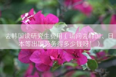 去韩国读研究生费用（请问去韩国、日本等出国劳务得多少钱呀！）
