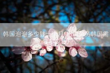 韩国泡泡多少钱一个月(出国劳务韩国需要多少钱)