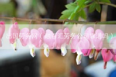 出国劳务网（融百汇劳务公司靠谱吗）