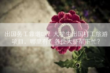 出国务工靠谱吗？大学生出国打工旅游项目，哪里有？各位大虾帮下忙？