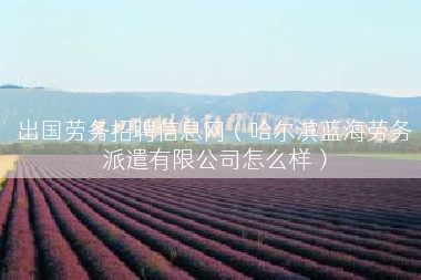 出国劳务招聘信息网（哈尔滨蓝海劳务派遣有限公司怎么样）