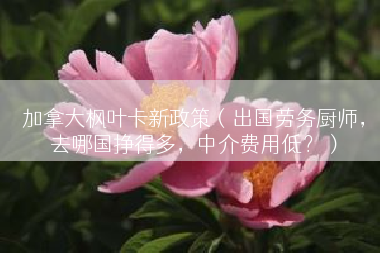 加拿大枫叶卡新政策（出国劳务厨师，去哪国挣得多，中介费用低？）