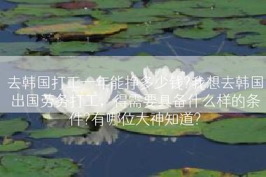 去韩国打工一年能挣多少钱?我想去韩国出国劳务打工，得需要具备什么样的条件?有哪位大神知道?