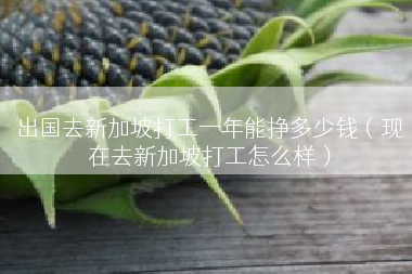 出国去新加坡打工一年能挣多少钱（现在去新加坡打工怎么样）