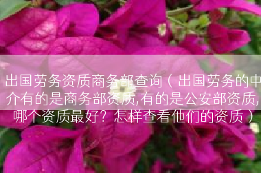 出国劳务资质商务部查询（出国劳务的中介有的是商务部资质,有的是公安部资质,哪个资质最好？怎样查看他们的资质）