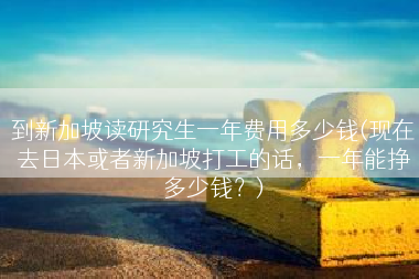 到新加坡读研究生一年费用多少钱(现在去日本或者新加坡打工的话，一年能挣多少钱？)