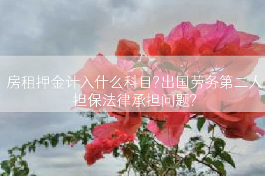 房租押金计入什么科目?出国劳务第二人担保法律承担问题?