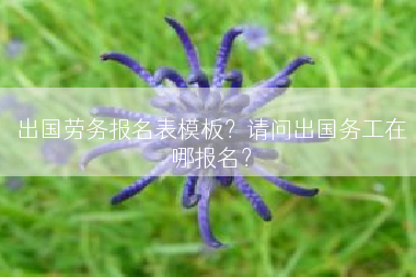 出国劳务报名表模板？请问出国务工在哪报名？