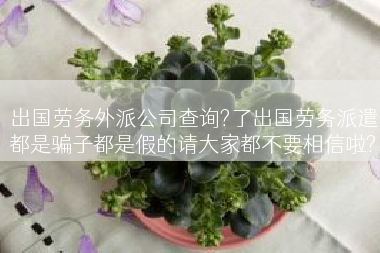 出国劳务外派公司查询?了出国劳务派遣都是骗子都是假的请大家都不要相信啦?