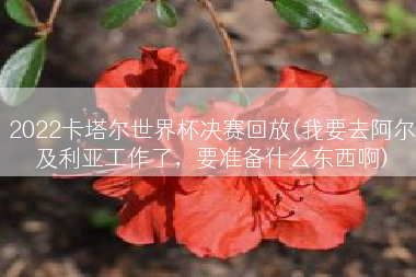 2022卡塔尔世界杯决赛回放(我要去阿尔及利亚工作了，要准备什么东西啊)