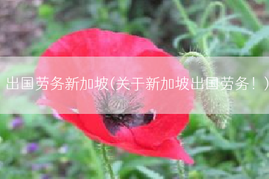 出国劳务新加坡(关于新加坡出国劳务！)