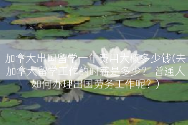 加拿大出国留学一年费用大概多少钱(去加拿大留学工作的时薪是多少？ 普通人如何办理出国劳务工作呢？)