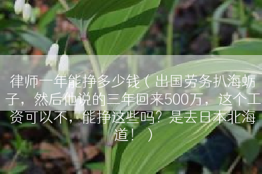律师一年能挣多少钱（出国劳务扒海蛎子，然后他说的三年回来500万，这个工资可以不，能挣这些吗？是去日本北海道！）
