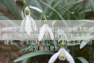 河南中工实业有限公司?到国外做工程的回国后的发展情况怎么样？比如在中信、建工、中工国际等公司出国若干年后回国发展前景如何?