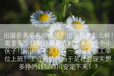 出国劳务商务部资质？出国劳务怎么样！需要多少钱啊！我是农村出来的一个小伙子！刚出来不久！在一家国企施工单位上班！工资很低！由于是社会现实想多挣的钱回四川安定下来！？