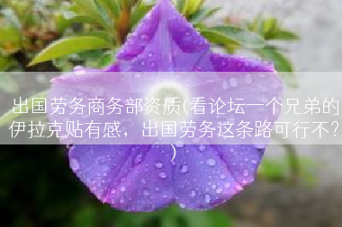 出国劳务商务部资质(看论坛一个兄弟的伊拉克贴有感，出国劳务这条路可行不？)