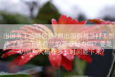 出国务工招聘信息?想出国到荷兰打工想先了解一下去荷兰的签证好办吗？要是一切顺利大概在多长时间能下来?