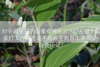 对中国免签的国家有哪些2023?去哪个国家打工办理签证不用面签而且工资高,办理费用低?