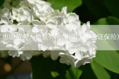 出国劳务人员意外险(出国工作签证保险)