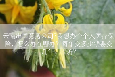 云南出国劳务公司?我想办个个人医疗保险，怎么办在哪办？每年交多少钱要交几年？临沂?