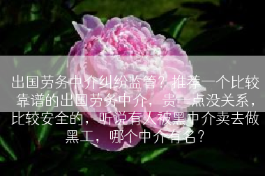 出国劳务中介纠纷监管？推荐一个比较靠谱的出国劳务中介，贵一点没关系，比较安全的，听说有人被黑中介卖去做黑工，哪个中介有名？