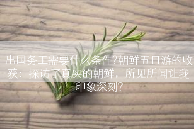 出国务工需要什么条件?朝鲜五日游的收获：探访了真实的朝鲜，所见所闻让我印象深刻?