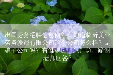 出国劳务招聘信息网？有知道临沂美亚劳务派遣有限公司这个公司怎么样？是骗子公司吗？有谁骗过，急，急，跪谢老师回答？