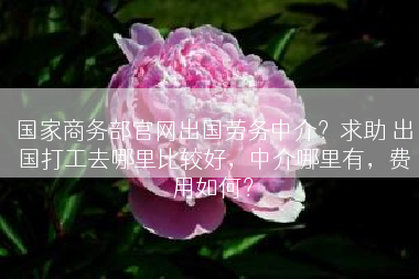 国家商务部官网出国劳务中介？求助 出国打工去哪里比较好，中介哪里有，费用如何？
