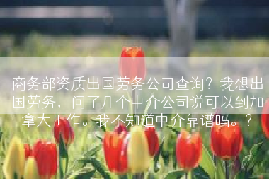 商务部资质出国劳务公司查询？我想出国劳务，问了几个中介公司说可以到加拿大工作。我不知道中介靠谱吗。？