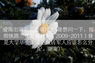 威海出国劳务公司排名(我想问一下，按照铁路三年发展规划（2009-2011）我是大学毕业生又是服转军人应该怎么分配。谢谢)