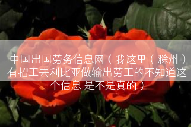 中国出国劳务信息网（我这里（滁州）有招工去利比亚做输出劳工的不知道这个信息 是不是真的）