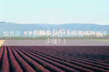 炒货店一年能挣多少钱(出国劳务能挣多少钱？)