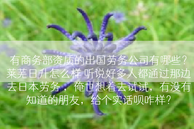 有商务部资质的出国劳务公司有哪些？莱芜日升怎么样 听说好多人都通过那边去日本劳务 ，俺也想着去试试，有没有知道的朋友，给个实话呗咋样？