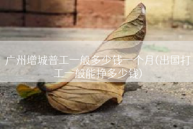 广州增城普工一般多少钱一个月(出国打工一般能挣多少钱)