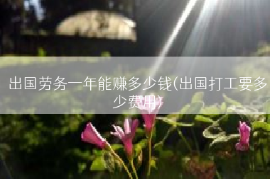 出国劳务一年能赚多少钱(出国打工要多少费用)