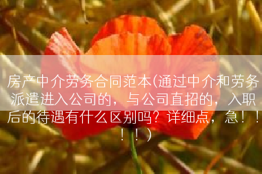 房产中介劳务合同范本(通过中介和劳务派遣进入公司的，与公司直招的，入职后的待遇有什么区别吗？详细点，急！！！！)