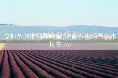 成都劳务市场在哪里(成都万家湾劳务市场在哪)
