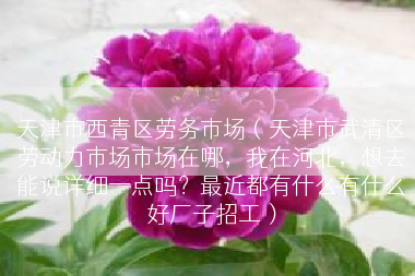 天津市西青区劳务市场（天津市武清区劳动力市场市场在哪，我在河北，想去能说详细一点吗？最近都有什么有什么好厂子招工）