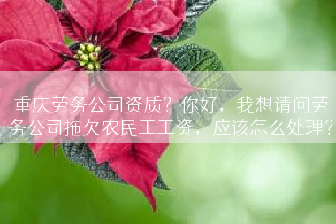 重庆劳务公司资质？你好，我想请问劳务公司拖欠农民工工资，应该怎么处理？